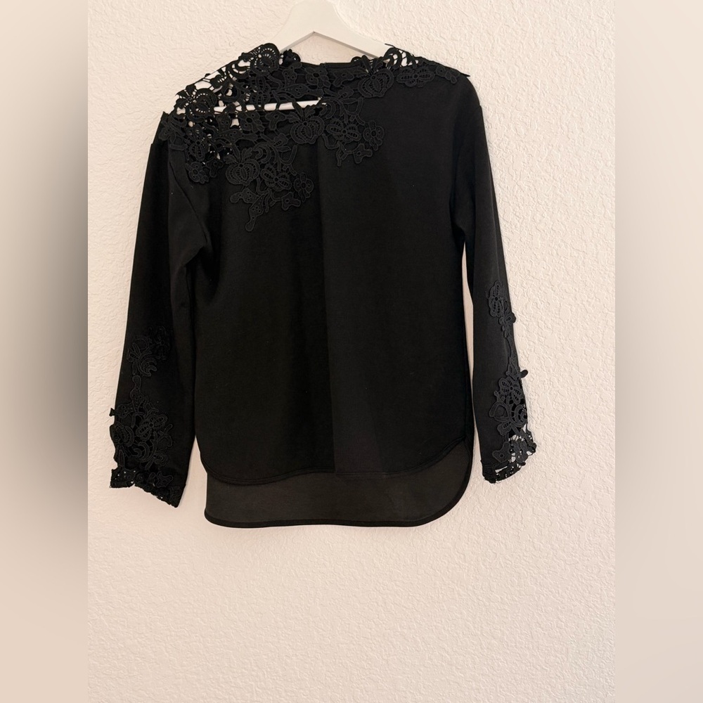 Elegant Black Lace Blouse | Sheer Sleeve & Collar Detail Romantic Chic Top